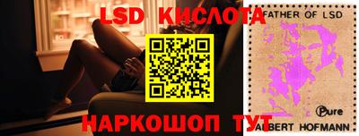 дмт Краснодар